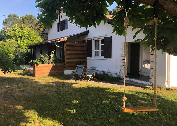 Orcas Lägenhet Léon