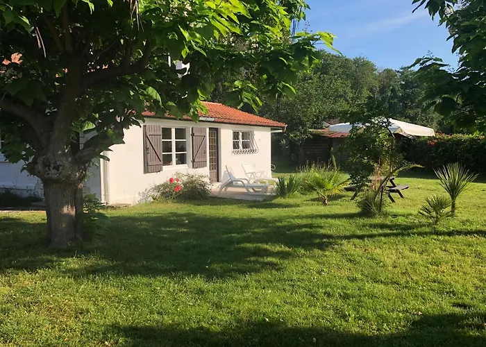 Orcas Lägenhet Léon